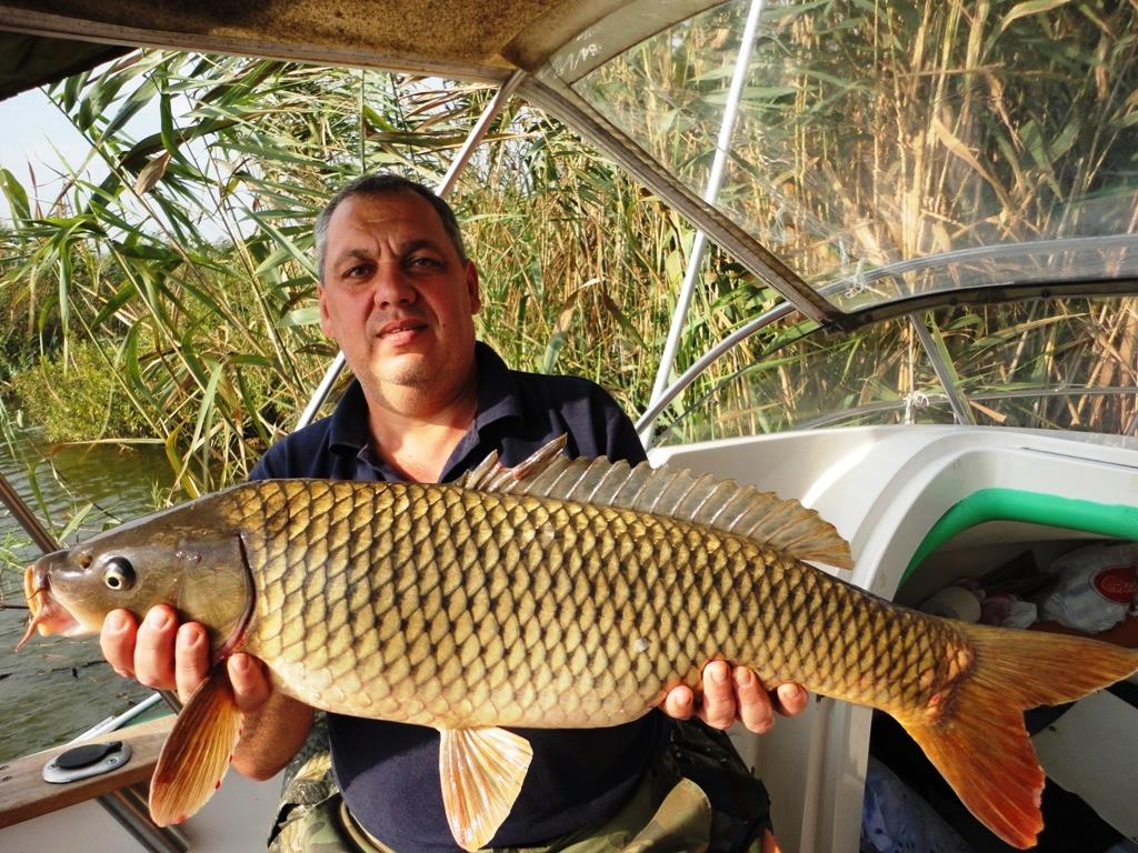 Sulina septembrie 2014 - dsc01238.JPG